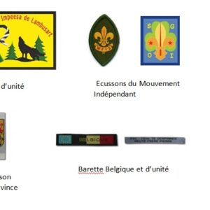 Lot d’insigne réglementaire